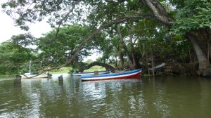 Glimt frå båtturen rundt dei mange øyane i Nicaraguasjøen.